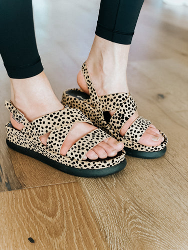 Into The Wild Sandals